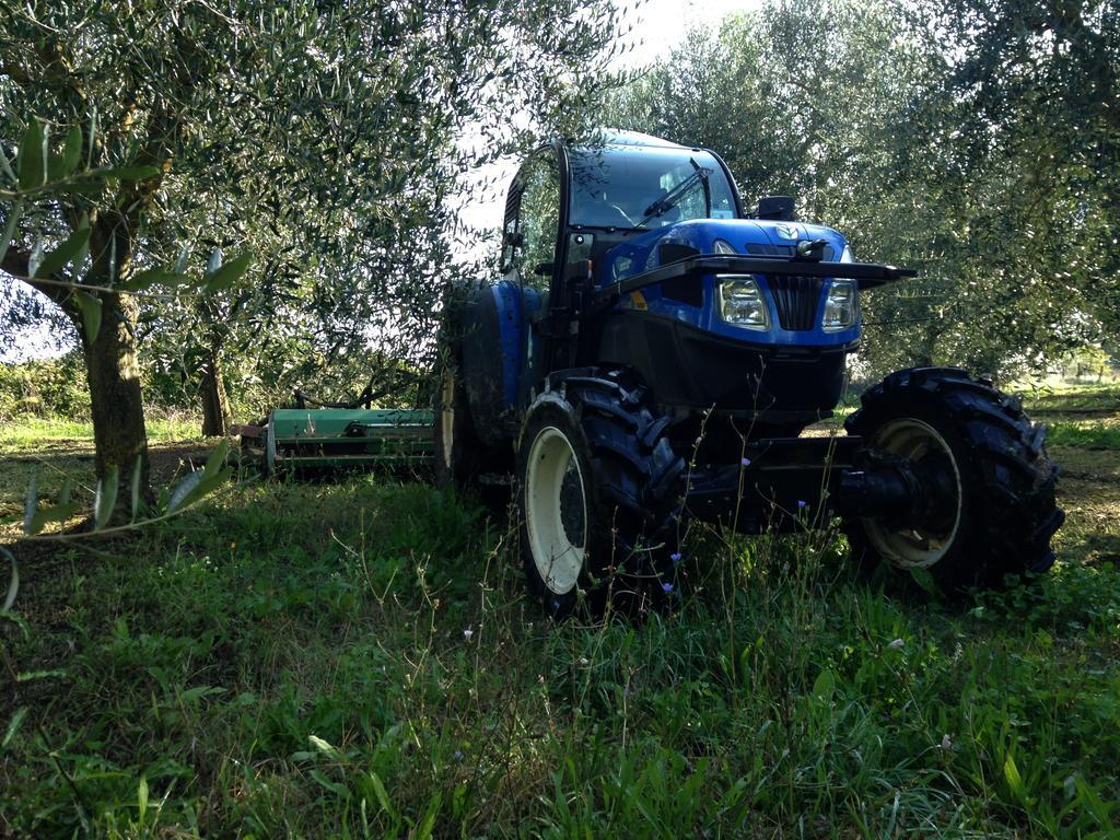 Вилла Fattoria Lucciano Borghetto  Экстерьер фото