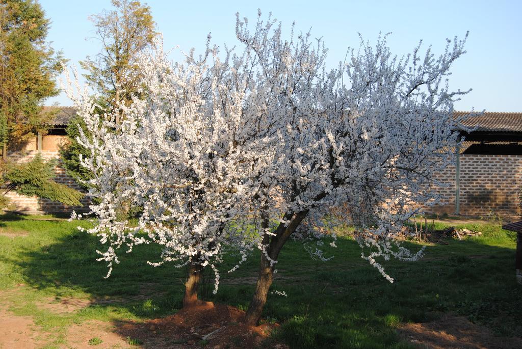 Вилла Fattoria Lucciano Borghetto  Экстерьер фото