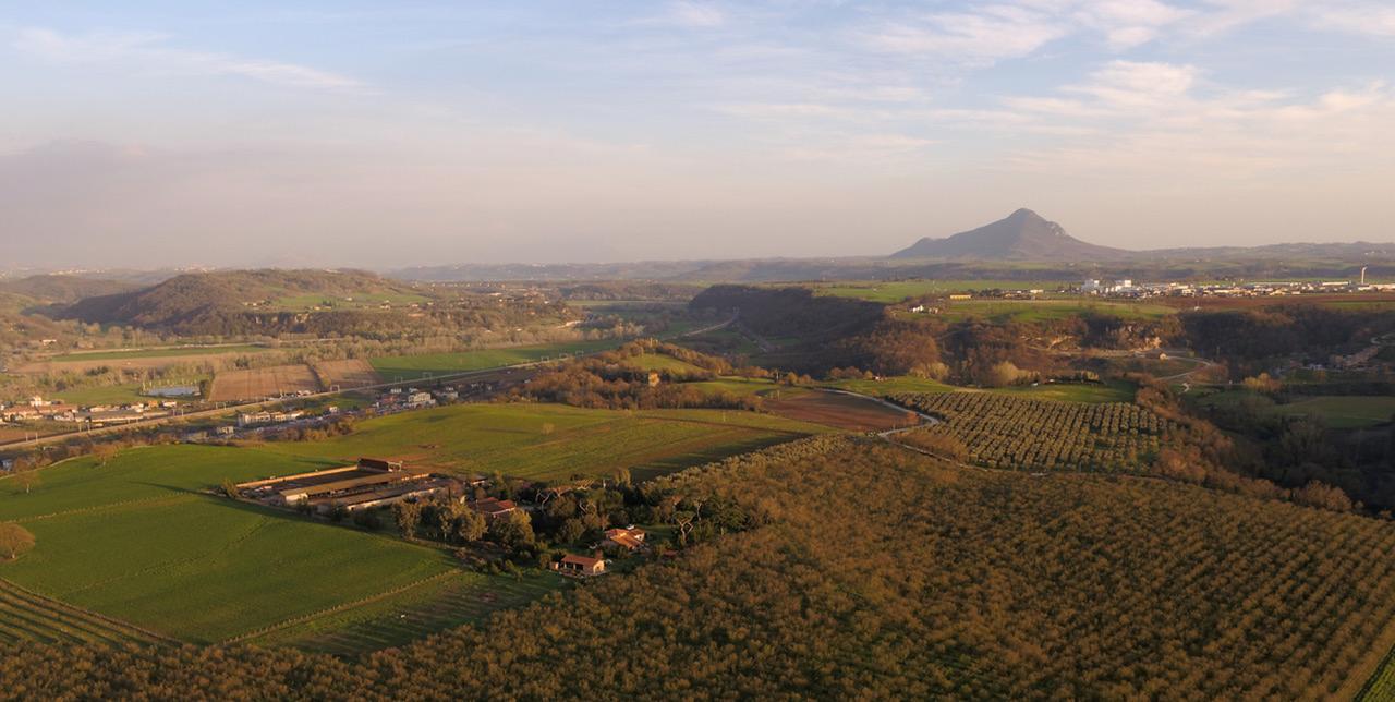 Вилла Fattoria Lucciano Borghetto  Экстерьер фото